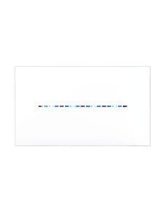 Placca Youngtouch Bianco       4Com