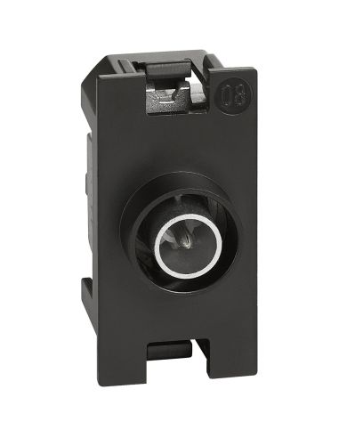 L.Now - Presa Tv Diretta  1 Mod