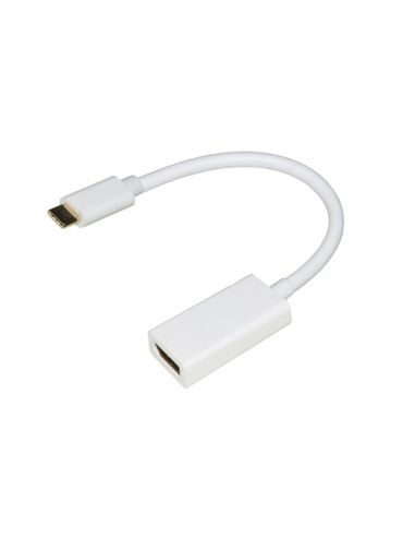 Adattatore Link Da Usb Tipo C A Displayport Femmina