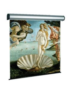 Schermo Proiezione Elettrico 300X300cm 1:1 Tela Bianca Ignifuga Modello Professional