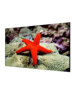 Hikvision Videowall 55 3.5Mm 1080P, 500Cd, Bezelwidth:3.5Mm, Input: Vga/Dvi/Dp/Hdmi, Output: Dp/Hdmi - Ds-D2055lu-Y