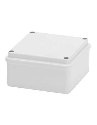 Cassetta Ip56 Par.Lisce 100X100x50