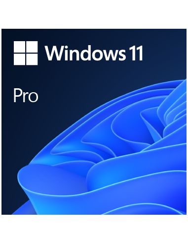 Microsoft Windows 11 Pro Fpp 64-Bit Italian Usb Hav-00210