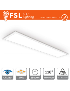 Fsl Pannello 30X120 48W 4000K 3700Lm