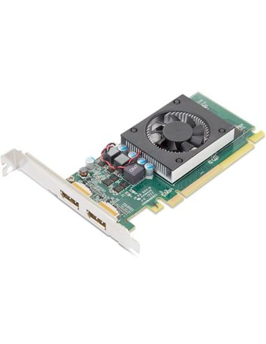 Graphics Lenovo U Lenovo Amd Radeon 520 2Gb Gddr5 Dual Dp Graphics Card With Hp Bracket  4X60y70139