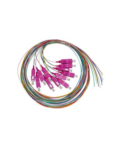Set 12 Cavi Pigtail Fibra Ottica Colorati Connettori Sc Om4 Simplex 2 Mt