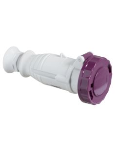 Presa Mob.Ip67 2P 16A 24V 50Hz