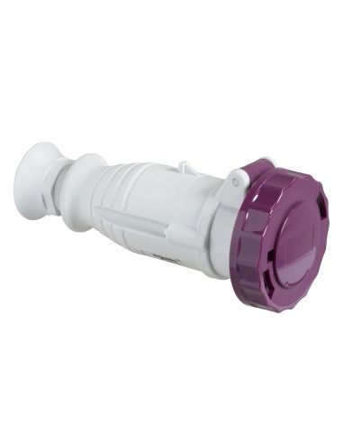 Presa Mob.Ip67 2P 16A 24V 50Hz