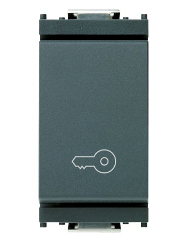 Pulsante 1P No 10A Chiave Grigio