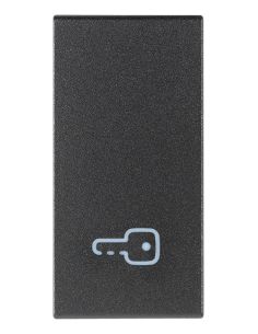 Tasto 1M Simbolo Chiave Grigio